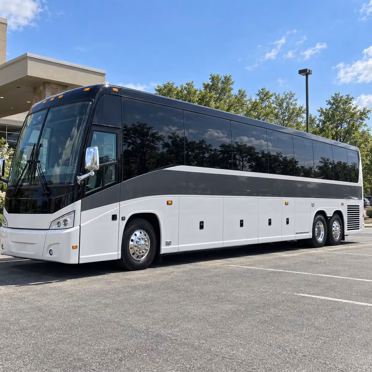 lansing prom party bus rentals the night your group has been talking about all year